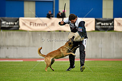 Effect iz Komandy Azart