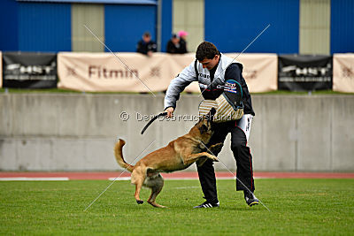 Effect iz Komandy Azart