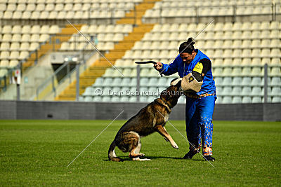 Egoist vom wilden Hexenkessel