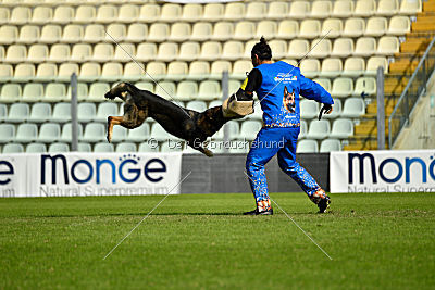 Egoist vom wilden Hexenkessel
