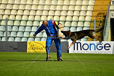 Egoist vom wilden Hexenkessel
