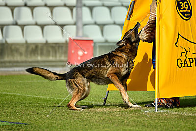 Egoist vom wilden Hexenkessel