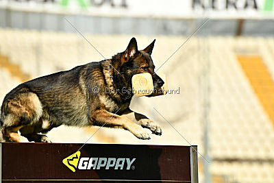 Egoist vom wilden Hexenkessel