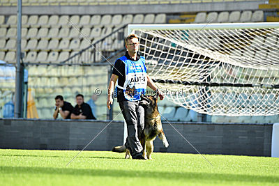 Egoist vom wilden Hexenkessel