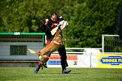 El Loco de Marina de los Molinos