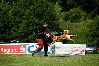 El Loco de Marina de los Molinos