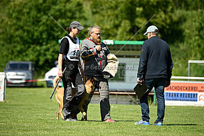 El Loco de Marina de los Molinos