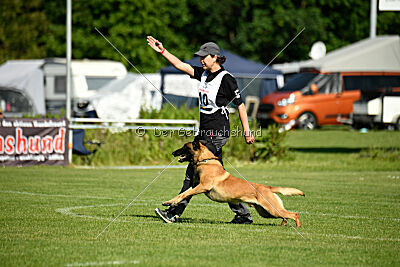 El Loco de Marina de los Molinos