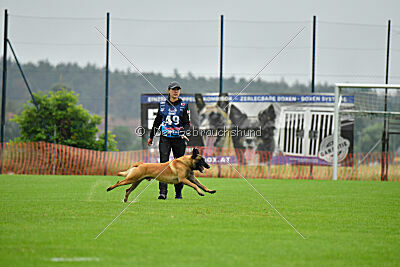 El Loco de Marina de los Molinos