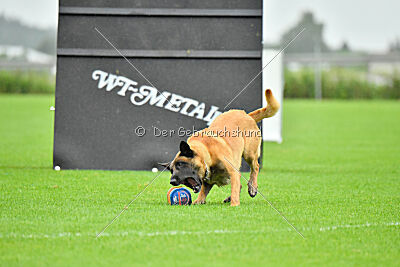 El Loco de Marina de los Molinos