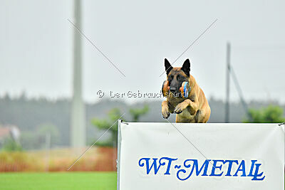 El Loco de Marina de los Molinos