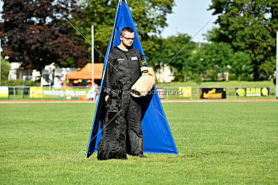 Eldo vom Mühlenstein
