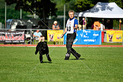 Eldo vom Mühlenstein