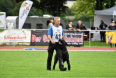 Eldo vom Mühlenstein