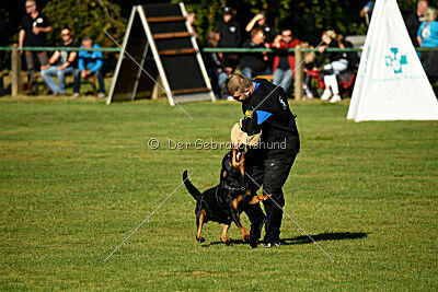 Elektra von der Ostseehexe