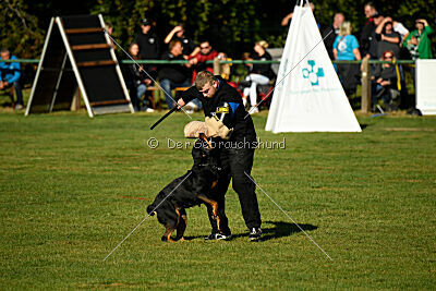 Elektra von der Ostseehexe