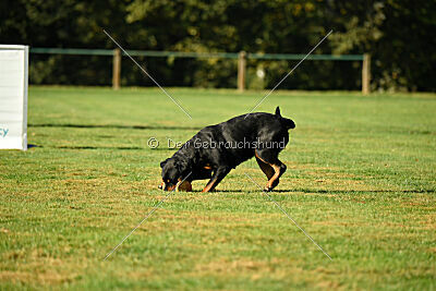Elektra von der Ostseehexe