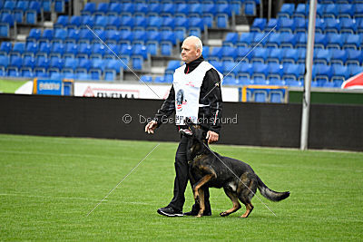 Elk von Daechsel