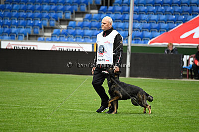 Elk von Daechsel