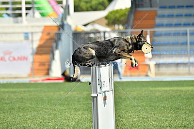 Ella z Kurimskeho Haje