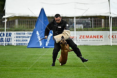 Elli-Pyrelli vom Streitwald