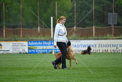 Elli-Pyrelli vom Streitwald