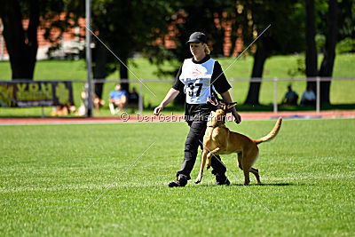 Elli-Pyrelli vom Streitwald