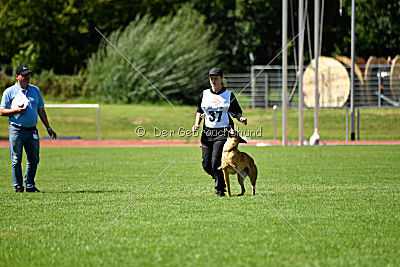 Elli-Pyrelli vom Streitwald