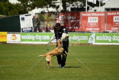 Elly vom Clan der Wölfe