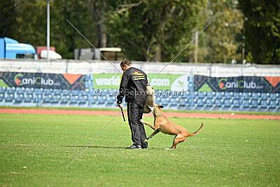 Elly vom Clan der Wölfe