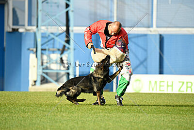 Elsa vom Haidbrunnen
