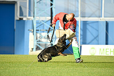 Elsa vom Haidbrunnen