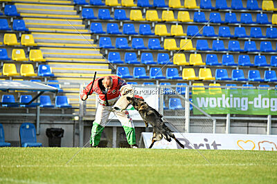 Elsa vom Haidbrunnen