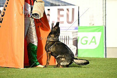 Elsa vom Haidbrunnen