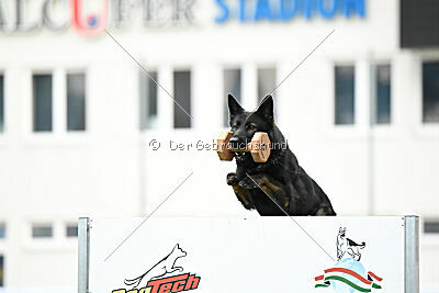 Elsa vom Haidbrunnen