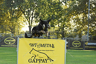 Elvis von der Reichsbahn
