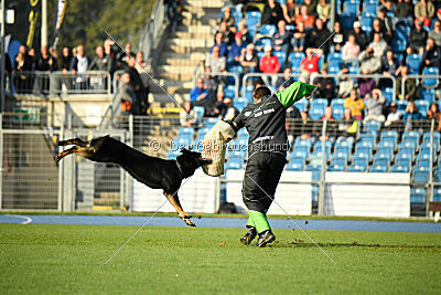 Elvis von der Reichsbahn