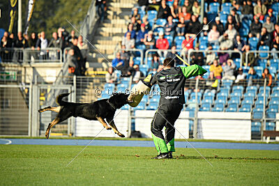 Elvis von der Reichsbahn