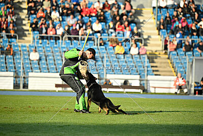 Elvis von der Reichsbahn