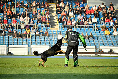 Elvis von der Reichsbahn