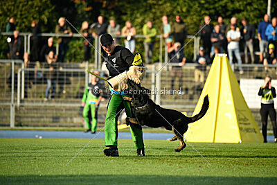 Elvis von der Reichsbahn
