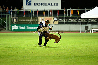 Elwood vom Mesumer Land