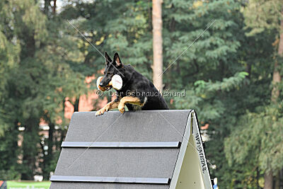 Emoji vom Alten Bernauer Heerweg