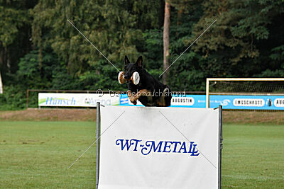 Emoji vom Alten Bernauer Heerweg