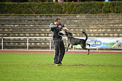 Emy vom Dahlhauser Schloßpark