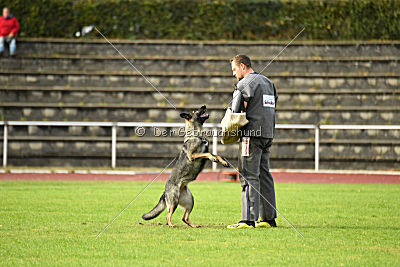 Emy vom Dahlhauser Schloßpark
