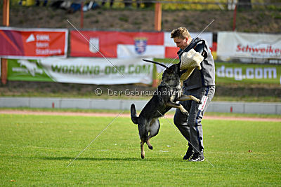 Emy vom Dahlhauser Schloßpark