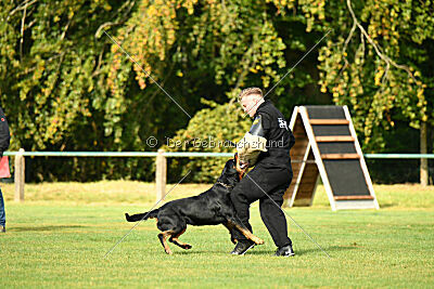 Enox vom Spöcker Wald