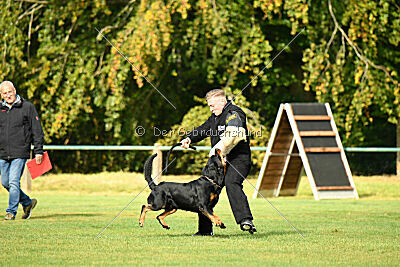 Enox vom Spöcker Wald