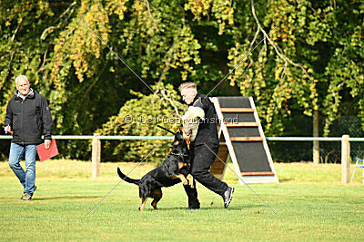 Enox vom Spöcker Wald